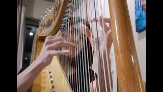 Arpa Paraguaya Camino a buena Vista