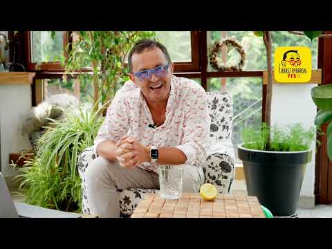 kościelni arcyterroryści YES:)odcinek440