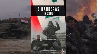 Tres Banderas, Mosul