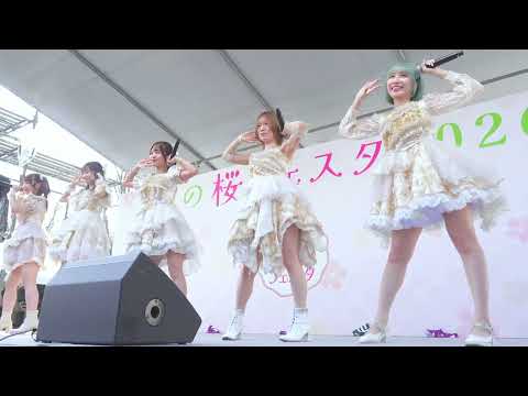 動画のタイトルなど