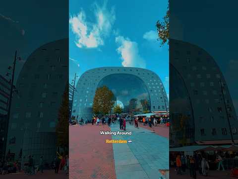 Thumbnail for Walking Around 📍Rotterdam #netherlands #rotterdam #explore #travel #tour #europe