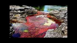 ANSWERS OF AN ALIEN FROM ANDROMEDA false flag Ebola