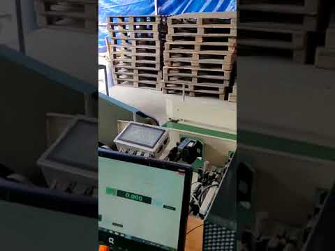 Truck Loading Conveyor