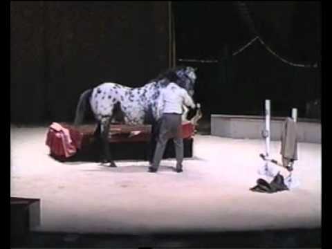 Joker und Toni in Eindhofen 2001, 1, Top!!!.avi