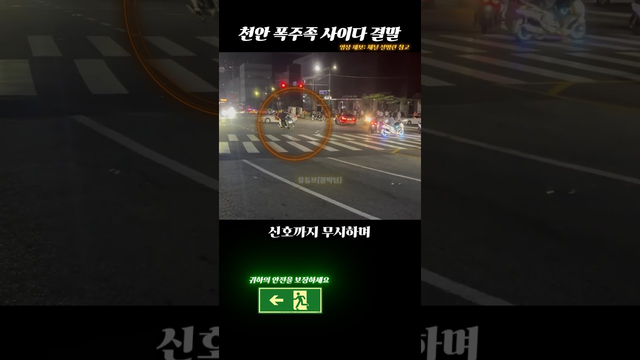 참교육 당하는 폭주족