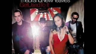 brand new heavies - apparently nothin
