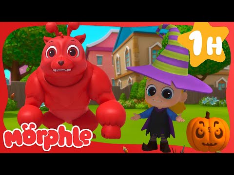 Frankenmorphle | Animals for Kids | Animal Cartoons | Funny Cartoons | Learn about Animals