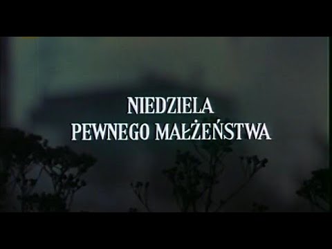 Niedziela pewnego małżeństwa w mieście przemysłowym średniej wielkości (1977)