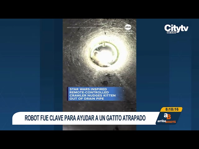 ¿Los rescates del futuro? Gatos fueron salvados de una tubería con ayuda de un robot
