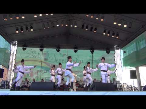 Ansamblul profesionist "DRAGAN MUNTEAN"