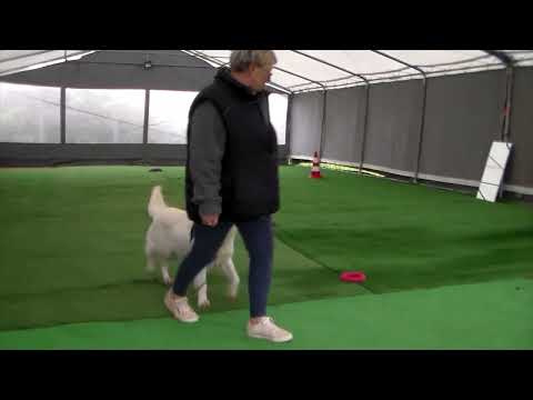 Tentations pour Tahia