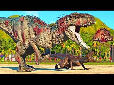 INDORAPTOR vs Big Carnivore Dinosaurs Fight! | Jurassic World Evolution 2