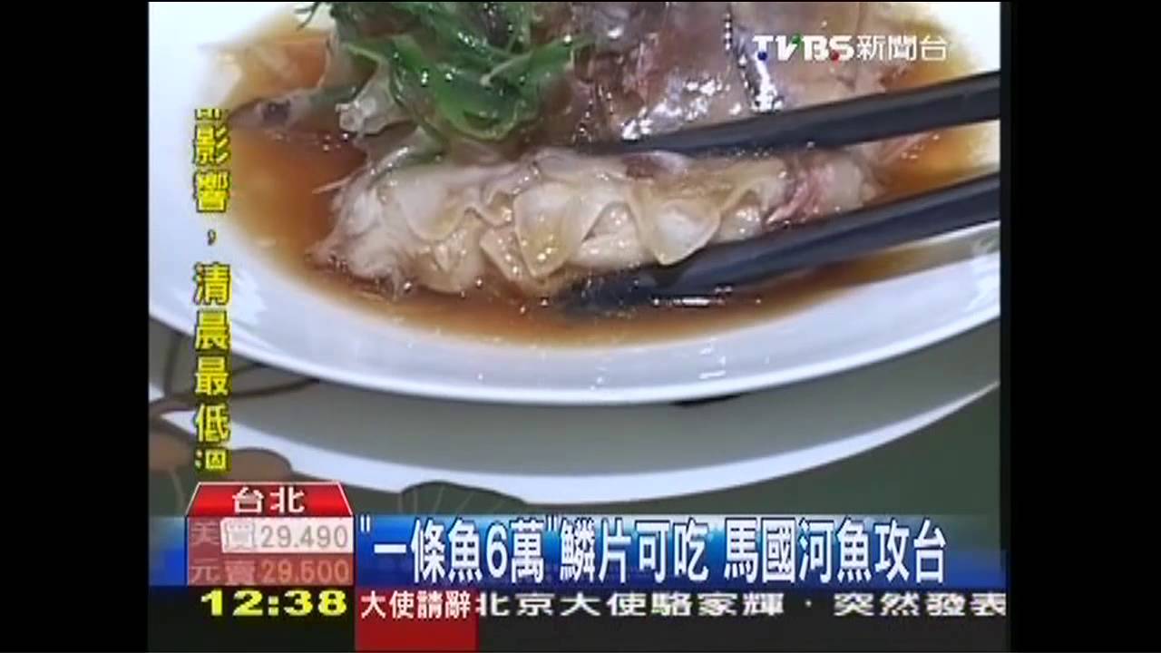 「一條魚6萬」鱗片可吃 馬國河魚攻台