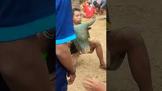 Download lagu YANG KALAP permisi MAU LEWAT #shorts #bantengan #wadimbudaya mp3