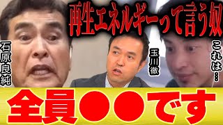 【ひろゆき×石原良純】再生エネルギーって言う人がいるから日本は終わるんだよ【切り抜き 再生エネルギー 選挙 太陽光発電 太陽光パネル 設置義務化 玉川徹 モーニングショー 原発 小池百合子 都知事 】