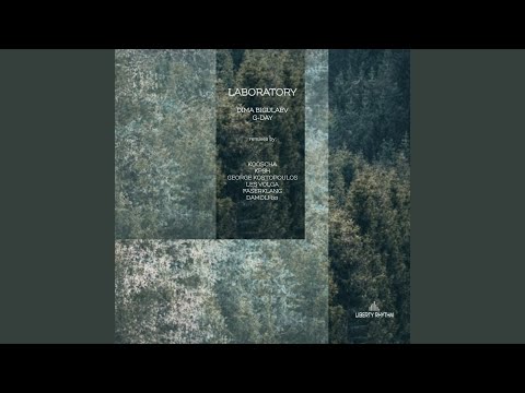 Laboratory (Kooscha Remix)