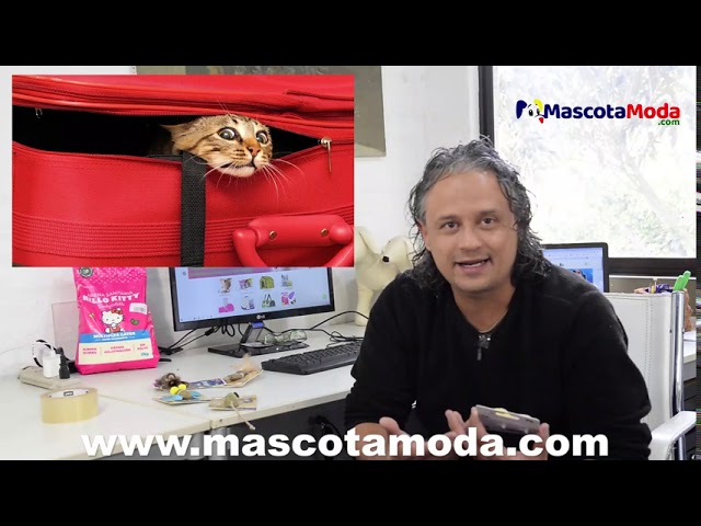 Vídeo relacionado con OSDUE Juguetes Hierba Gatera, 3 Piezas Juguetes de Catnip con Hierba Gatera, Suave y Duradero Juguetes para Masticar para Nteracción con Mascotas para Que los Gatos Mastiquen y Jueguen Colorido