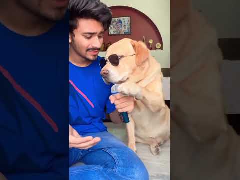 Singing dog😂 #shorts | Anant rastogi