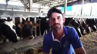 Dia de Campo orienta produtores de leite sobre silagem de milho para aumento da produção