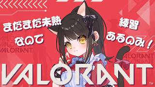 【#valorant  】どうやらなんか変わったらしい【キナプロ/逢乃エリィ】