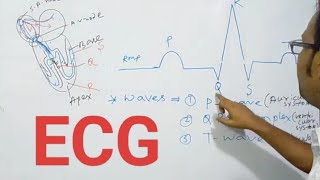 ELECTROCARDIOGRAPH Y video