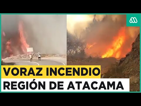Incendio forestal en Región de Atacama: Senapred solicita evacuación