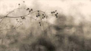 Dakota Suite & Emanuele Errante - A Hymn To Haruki Murakami