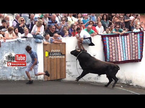 Tourada à Corda 27-06-2025 Fonte da Ribeirinha JAF- JG- OTT- AA.