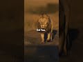 Veerane Vaa Veeranai Song Whatsapp Status Lyrics Tamil Trending Whatsapp Status Status Shorts