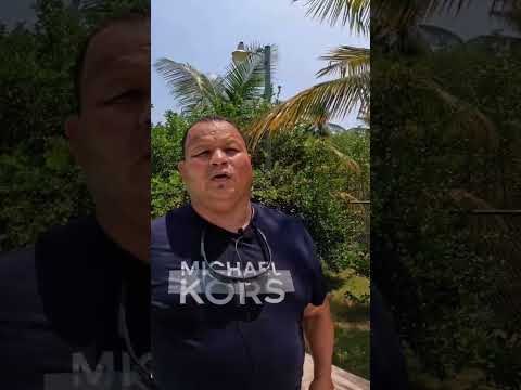 los encontramos en restaurante Estefani en el corral de mulas Jiquilisco usulutan ElSalvador