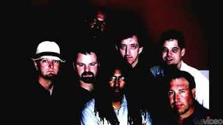 The Root Doctors- Eleanor Rigby