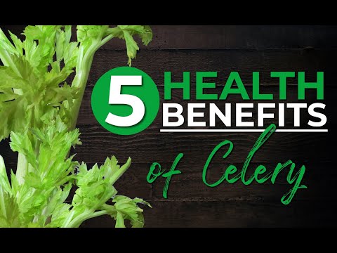, title : 'Top 5 Health Benefits Of Celery - Low Calorie Snack - Celery Juicing - For Men and Women'