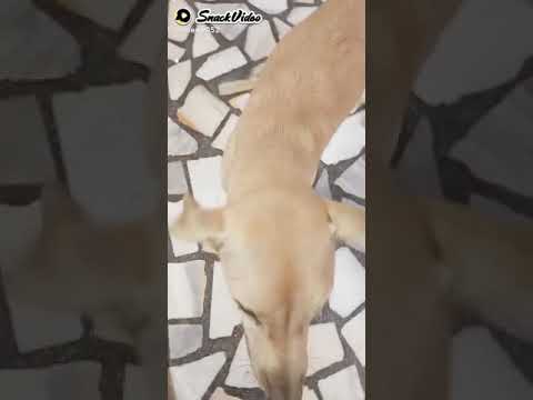 Please support me🙏🙏