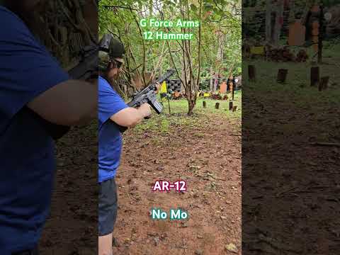 Why You Need the GForce Arms GF25 AR Shotgun @youtubecreators  #youtubehighfive