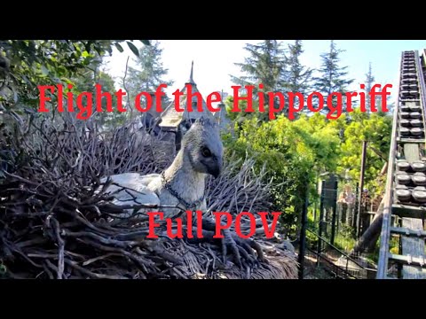 Flight of the Hippogriff | Full Ride + Queue POV | Universal Studios Hollywood | 2025 |