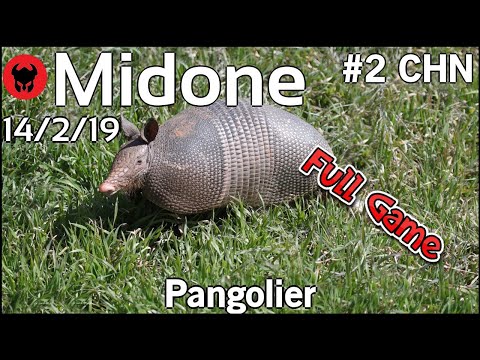 Midone [Secret] plays Pangolier!!! Dota 2 Full Game 7.21