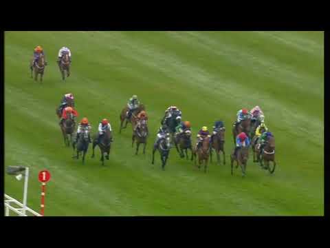 2012 David Nicholson Mares' Hurdle - Cheltenham Festival