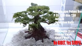 Aquascape Pohon Bonsai simpel