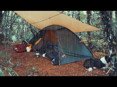 CAMPING in Rain Forest with Tarp - Rain ASMR
