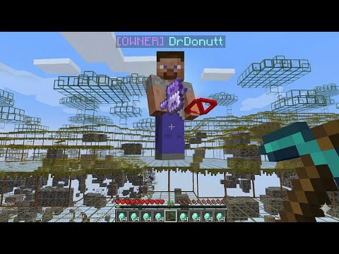 DrDonut Catches Cheaters On DonutSMP