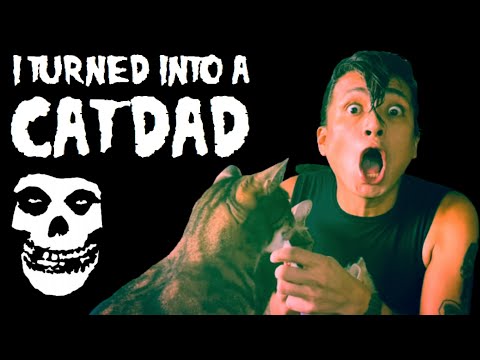 I Turned Into A Cat Dad! (Misfits / Glenn Danzig Parody - I Turned Into A Martian) #misfits #danzig