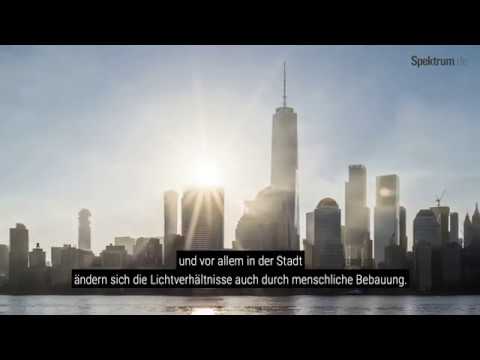 Spektrum erklärt: Mikroklima