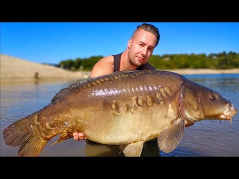 Karpfenangeln - R&G Fishfeed - Südfrankreich Endgame