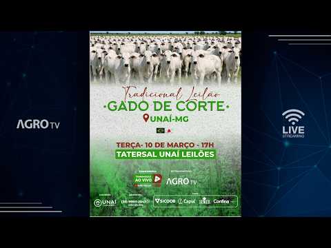 TRADICIONAL LEILÃO DE GADO DE CORTE DA UNAÍ LEILÕES EM UNAÍ - MG - 03/03/2026