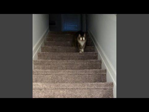 todo va a estar bien