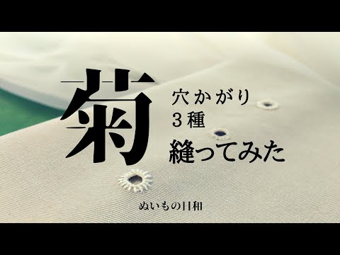 菊穴