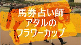 馬券占い師アタルのフラワーC2019 mqdefault - 馬券占い師アタルのフラワーC2019
