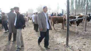 preview picture of video 'Kashgar Mercado animales'