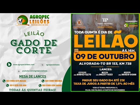agropecleiloes.com LEILÃO GADO DE CORTE | TERRA PRÓSPERA LEILÕES-ALVORADA-TO 09/10/2025