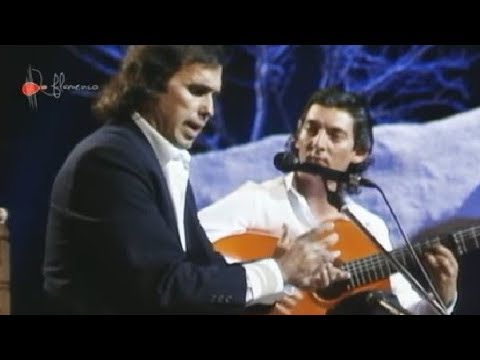 Bulerías. Pepe de Lucía. 1989